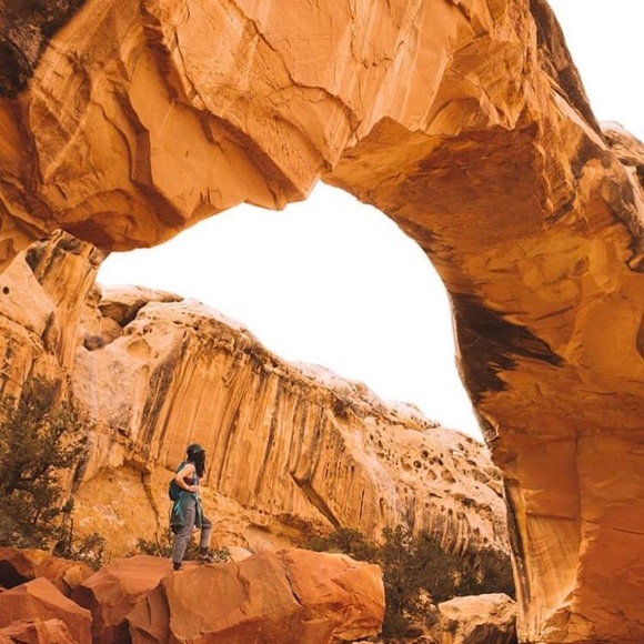 Meet your Posher, Ava - Picture 1 of 1